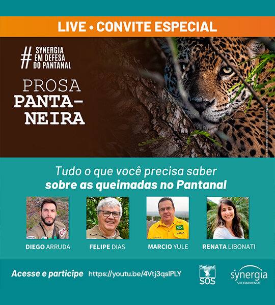 Prosa Pantaneira: experts explain the reason for the fires in the Pantanal in 2020 and refute the main fake news