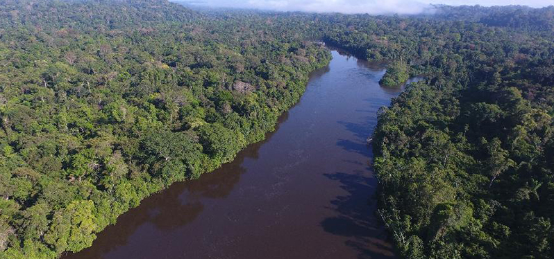 Direito ao meio ambiente - Vista aérea Amazônia 