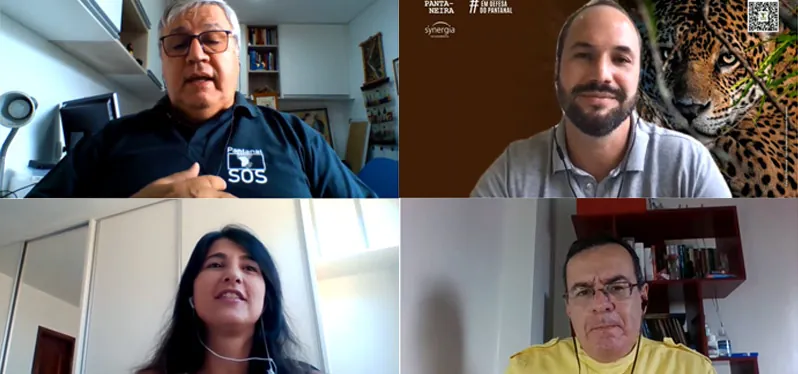 Participantes da Live Prosa Pantaneira discutem queimadas