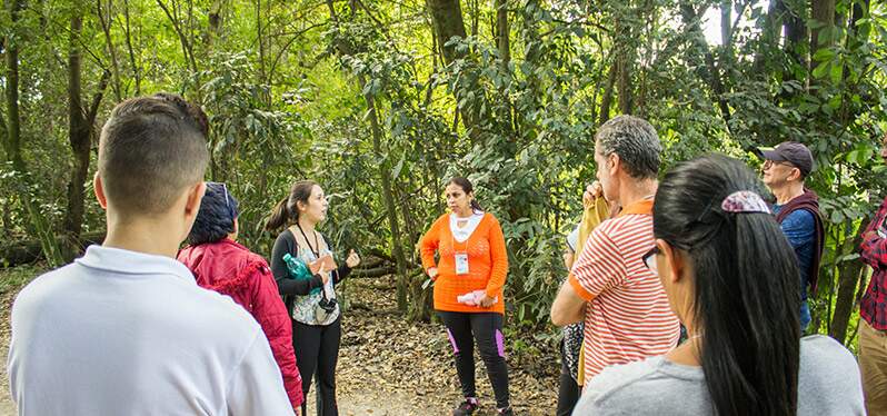 Educación Ambiental: comunidad aprende en proyecto Synergia