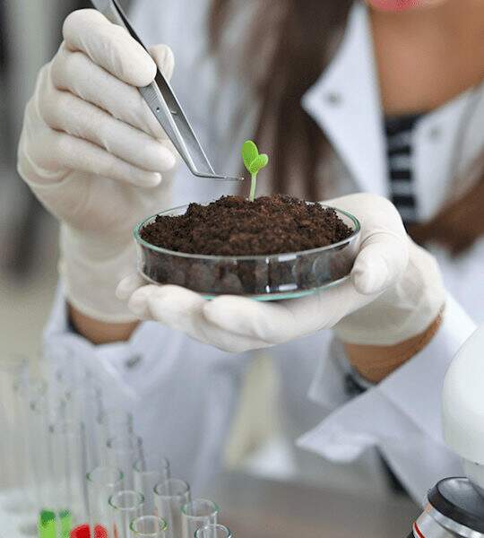 The rise of the bioeconomy as an alternative to the development of the Amazon
