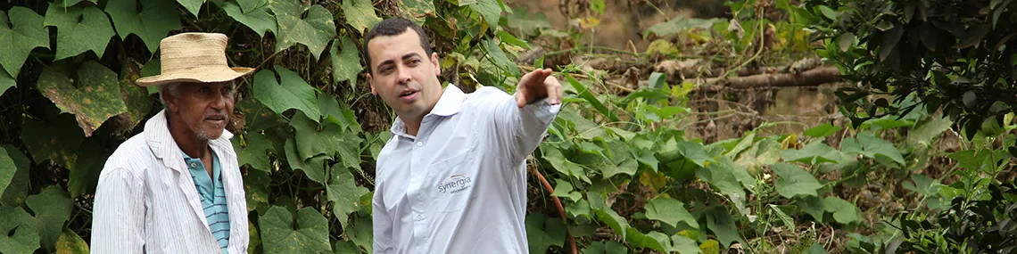 Reestruturação Produtiva Minas – Rio Reestruturação Produtiva Minas – Rio