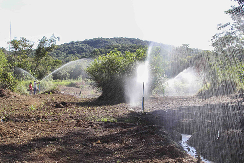 Utilização de recursos hídricos em irrigação de plantação