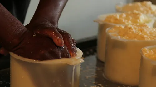 Queijo produzido por agricultores capacitados em reestruturação Queijo produzido por agricultores capacitados em reestruturação