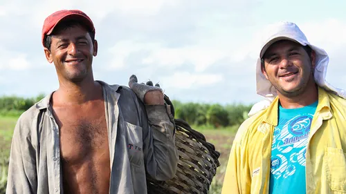 Rural producers celebrate harvest in resettlement Rural producers celebrate harvest in resettlement