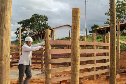 Colaborador em fazenda de reassentamento e reestruturação Colaborador em fazenda de reassentamento e reestruturação