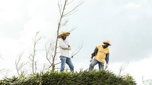 Agricultores observam área de reassentamento 