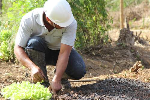 Synergia employee tests land on resettlement farm