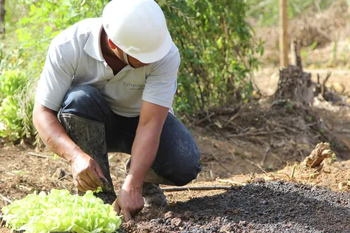 Colaborador Synergia testa a terra em fazenda de reassentamento Colaborador Synergia testa a terra em fazenda de reassentamento