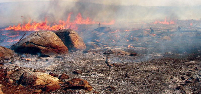 Aumento das queimadas na Caatinga