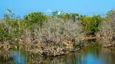 World Wetlands Protection Day: facts and figures