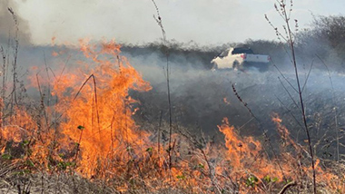 Burnings increase in Caatinga and the biome already exceeds others in the number of fires in 2021