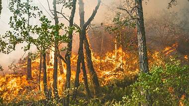 Desastres ligados a mudanças climáticas ocasionaram mais de US$ 3,6 trilhões em perdas, segundo relatório da ONU