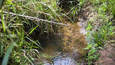 Solução de sustentabilidade hídrica, produção de água da Synergia se destaca como prática ESG