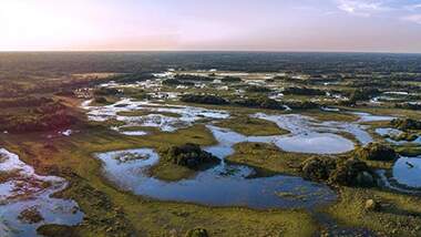 Brazil lost 15% of freshwater areas in the last 30 years