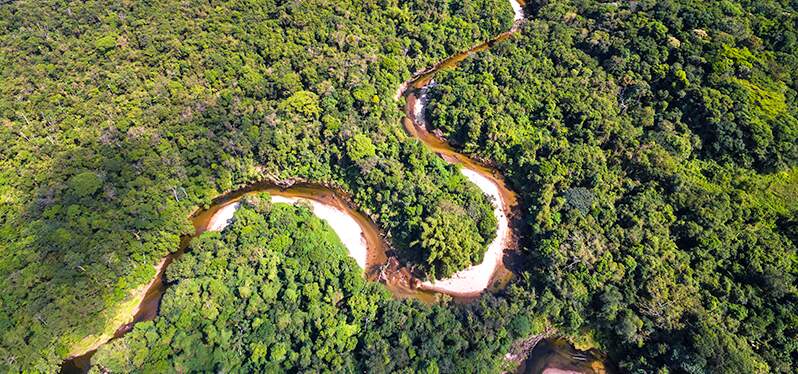 Travas da Amazônia Legal - Amazônia aérea