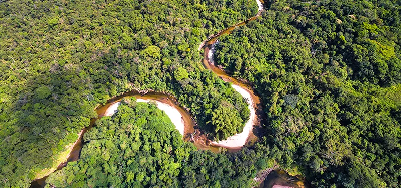 Travas da Amazônia Legal - Amazônia aérea