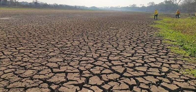 Sequías en el Pantanal provocan y agravan incendios forestales