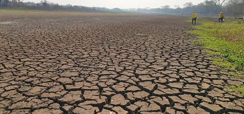 Secas no Pantanal provocam e agravam queimadas