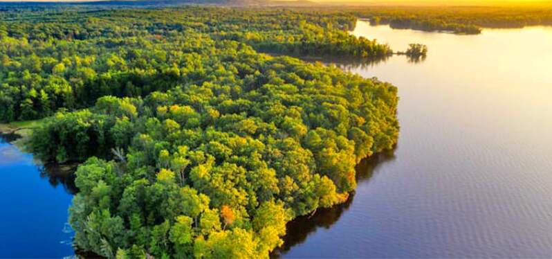 Desenvolvimento sustentável da Amazônia - Live Amazônia Brasileira