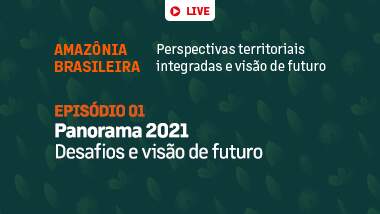 ¿Es posible el desarrollo sostenible de la Amazonia? Compruebe en directo y conozca la opinión de nuestros expertos.