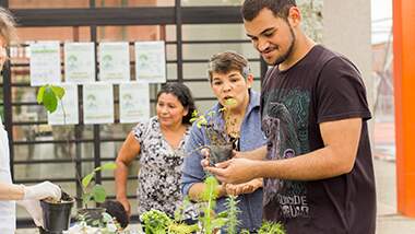 Las prácticas pedagógicas de la Educación Ambiental y el contexto político metodológico