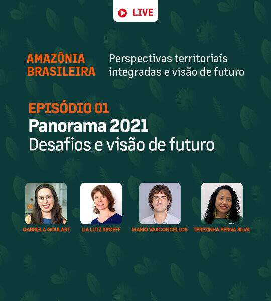 ¿Es posible el desarrollo sostenible de la Amazonia? Compruebe en directo y conozca la opinión de nuestros expertos.