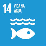 SDG14 - Life in the water