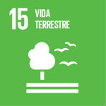 ODS15 - Vida terrestre