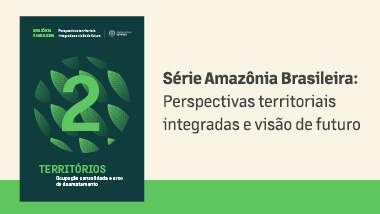 Quadro socioambiental amazônico atual: Volume 2 da Série Amazônia Brasileira aborda a formação das dinâmicas territoriais