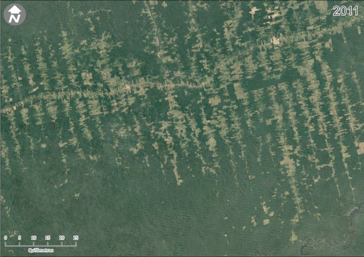 queimadas e desmatamentos: supressão vegetal em área da Bacia do Rio Xingu de 2011 e 2019