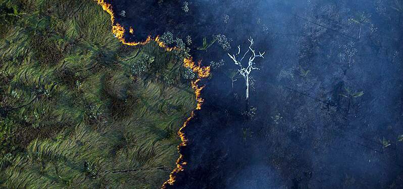 Synergia report points to hot spots in the Amazon_ burned forest