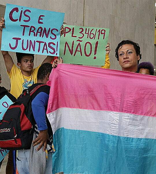 Trans visibility: vulnerabilities in the national and international scenario