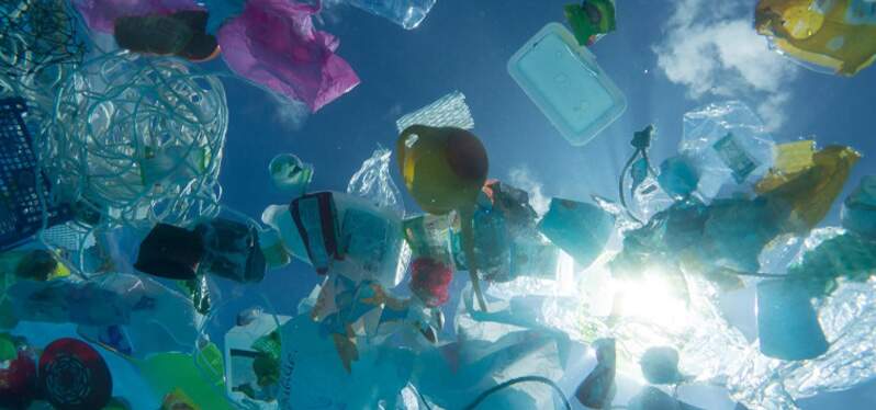 plastic pollution_ bottles in the sea. photo_Paulo_Oliveira