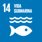 ODS14 – Vida submarina