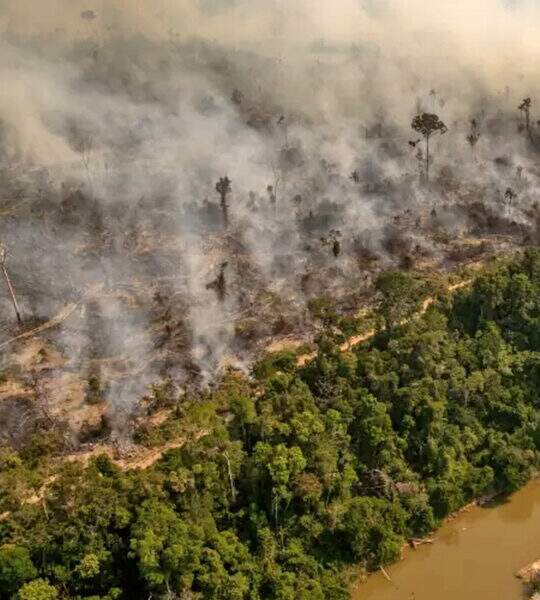 Synergia survey on fire outbreaks in Indigenous Lands and Conservation Units is reference in the media