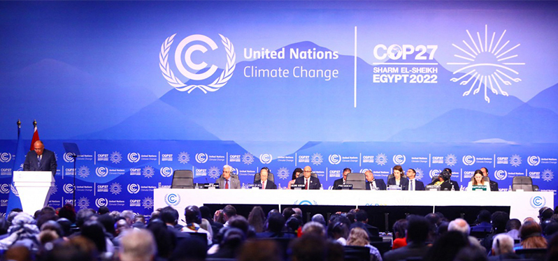 Apertura de la COP27 en Egipto Foto: Stringer AFP