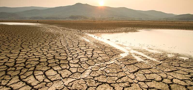 Synergia at COP27 - dry ground. Photo-Adobe-Stock