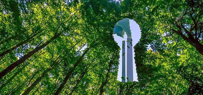 combating greenwashing nature and industry Foto-Adobe-Stock