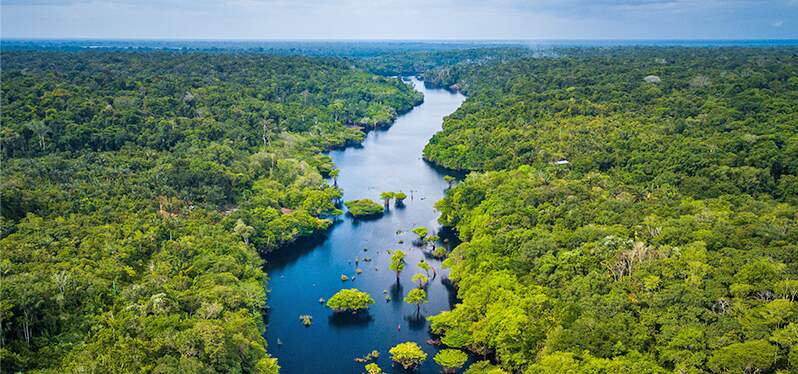 Synergia at COP27 - Amazon Rivers Photo: Adobe Stock