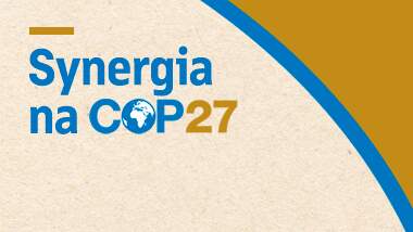 Synergia at COP27