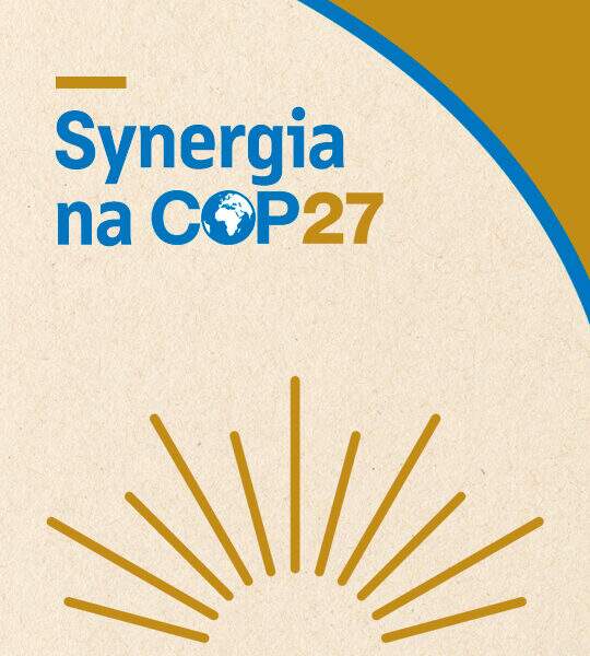 Synergia at COP27