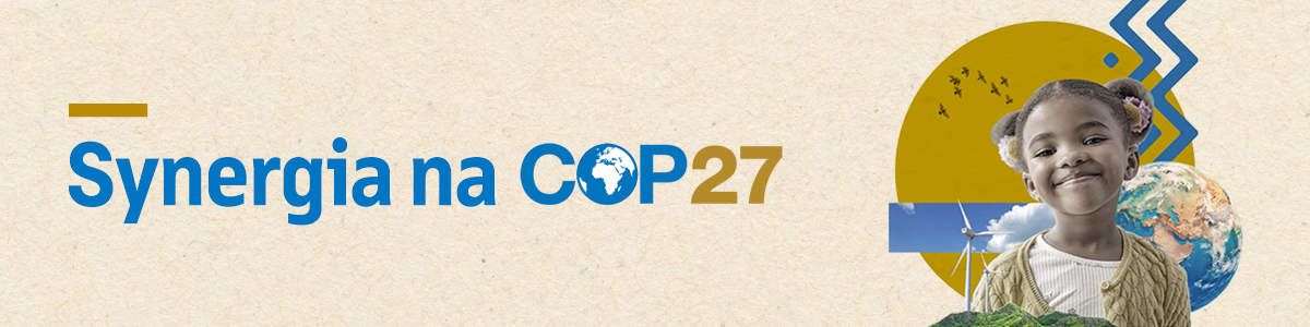Synergia na COP27 _ Confira a cobertura completa