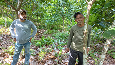Con apoyo a la cadena productiva del cacao e implementación de un comedor comunitario, Synergia fortalece la agenda de conservación en la Amazonía