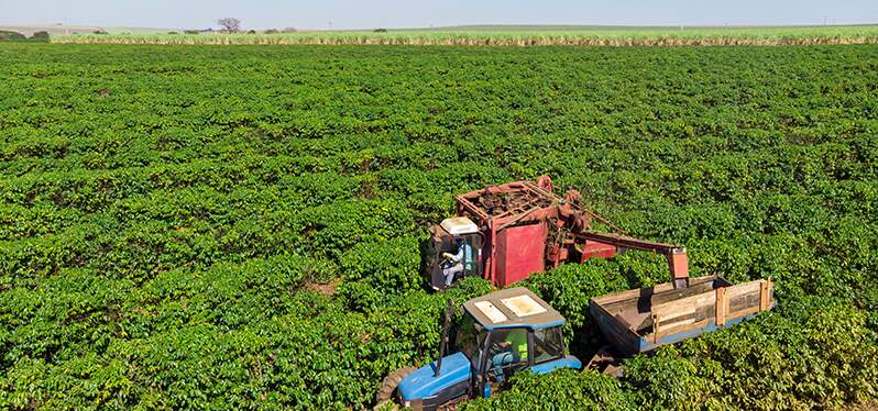 Conservação do solo e dia da Terra. Dois veículos agrícolas em uma plantação. Foto: Adobe-Stock