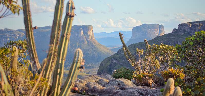 Morro do Pai Inácio. restauração da Caatinga. Foto-Adobe-Stock