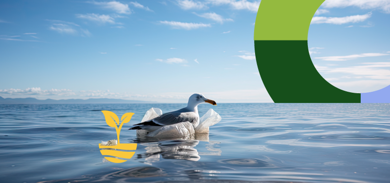 Environment Month - seagull amidst plastic in the sea.  Adobe Stock Photo