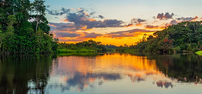 Infraestrutura verde: soluções baseadas na natureza podem favorecer o abastecimento de água. Foto: Adobe Stock