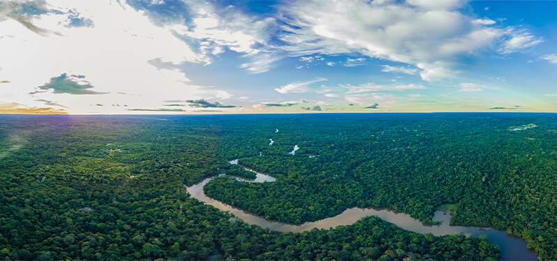 Virada Amazônia de Pé -Rio Amazonas Foto: Adobe Stock 