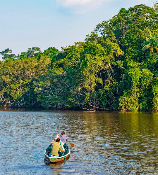 Virada “Amazônia de Pé” debate preservação do território e Marco Temporal